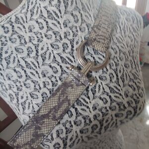 Chico's Snake Print Belt with Silver Tone Buckle